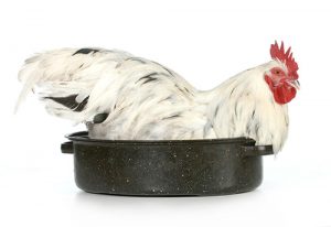 hvordan koke høne